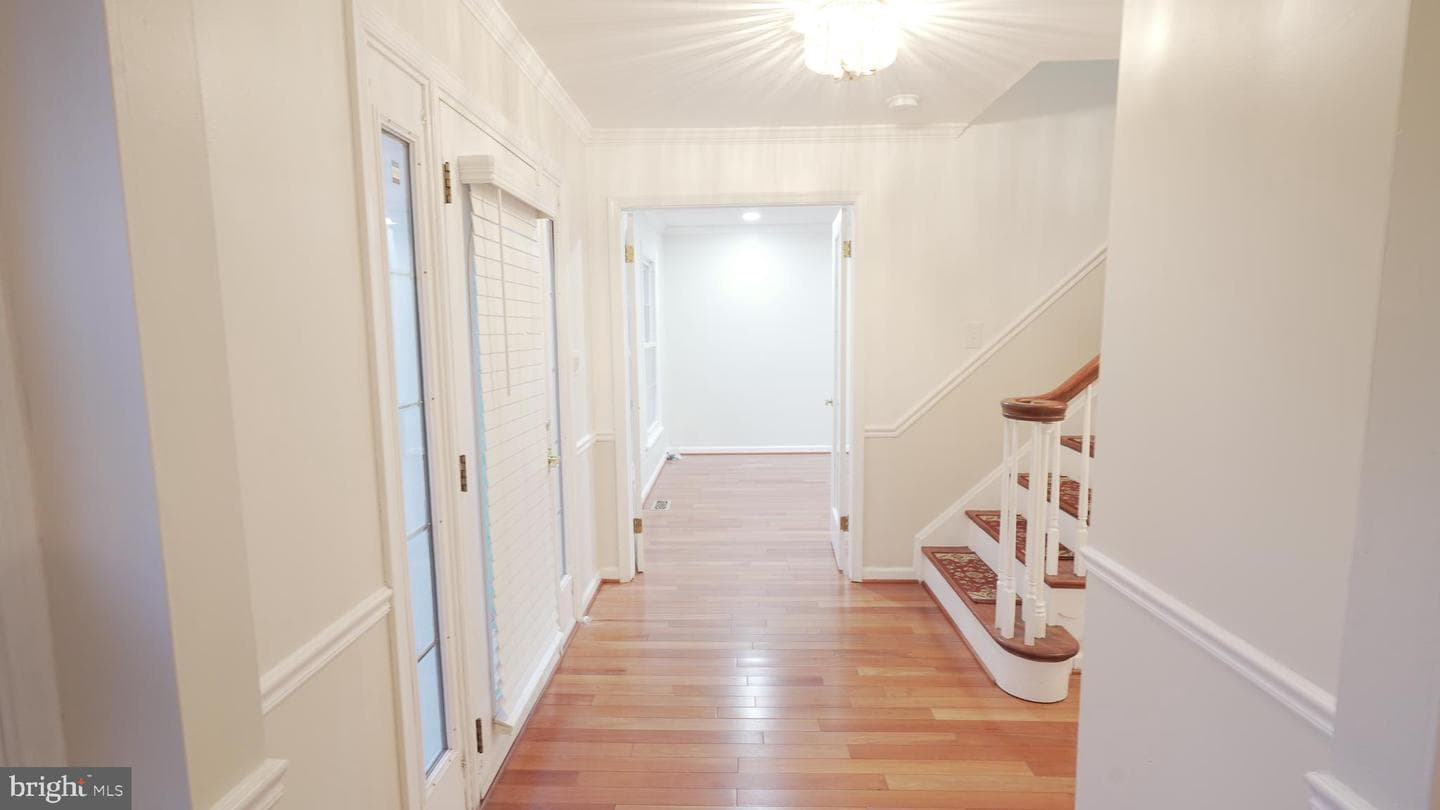10203 Raleigh Tavern Lane photo 4