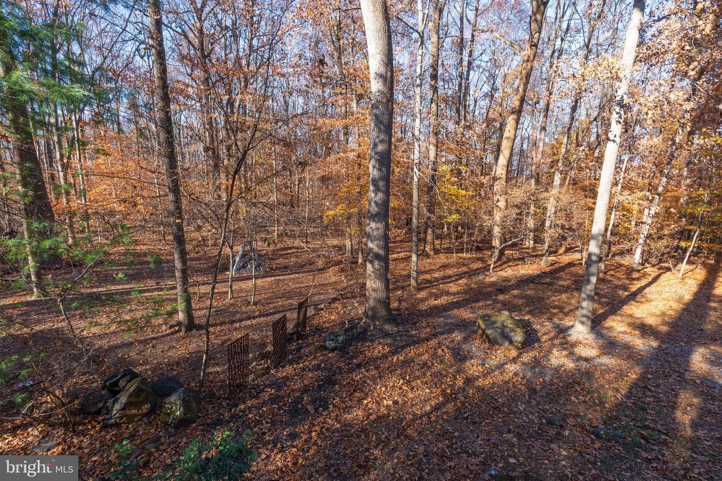 9512 White Spring Way photo 41