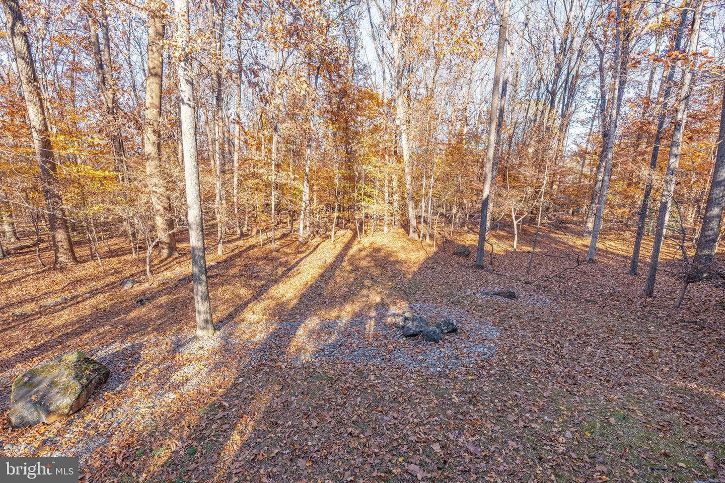 9512 White Spring Way photo 42