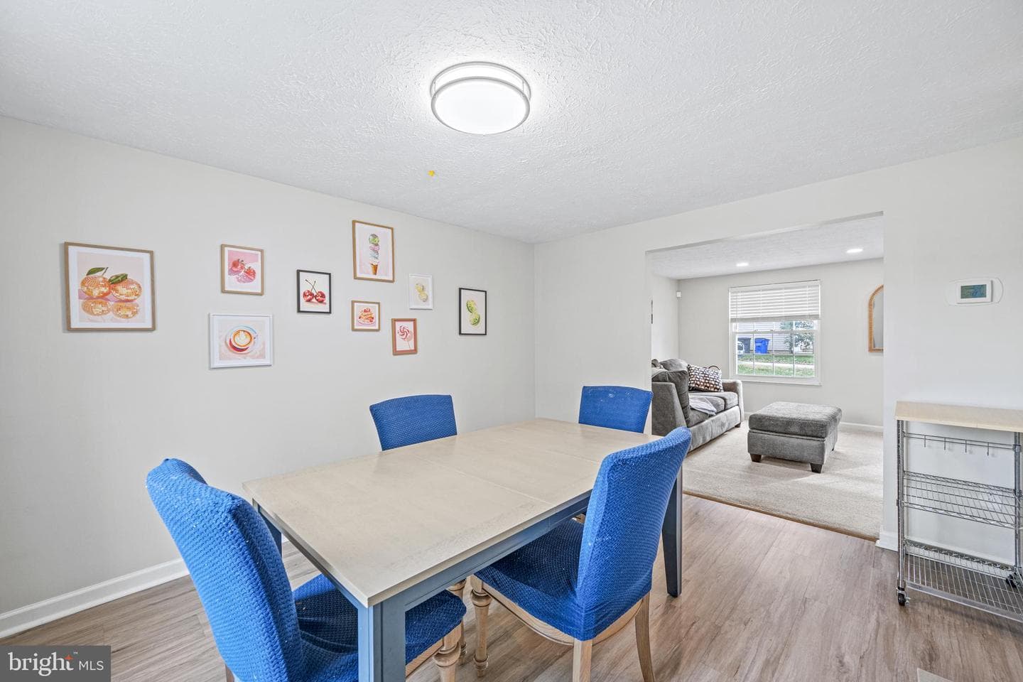 10122 Cape Ann Drive photo 6