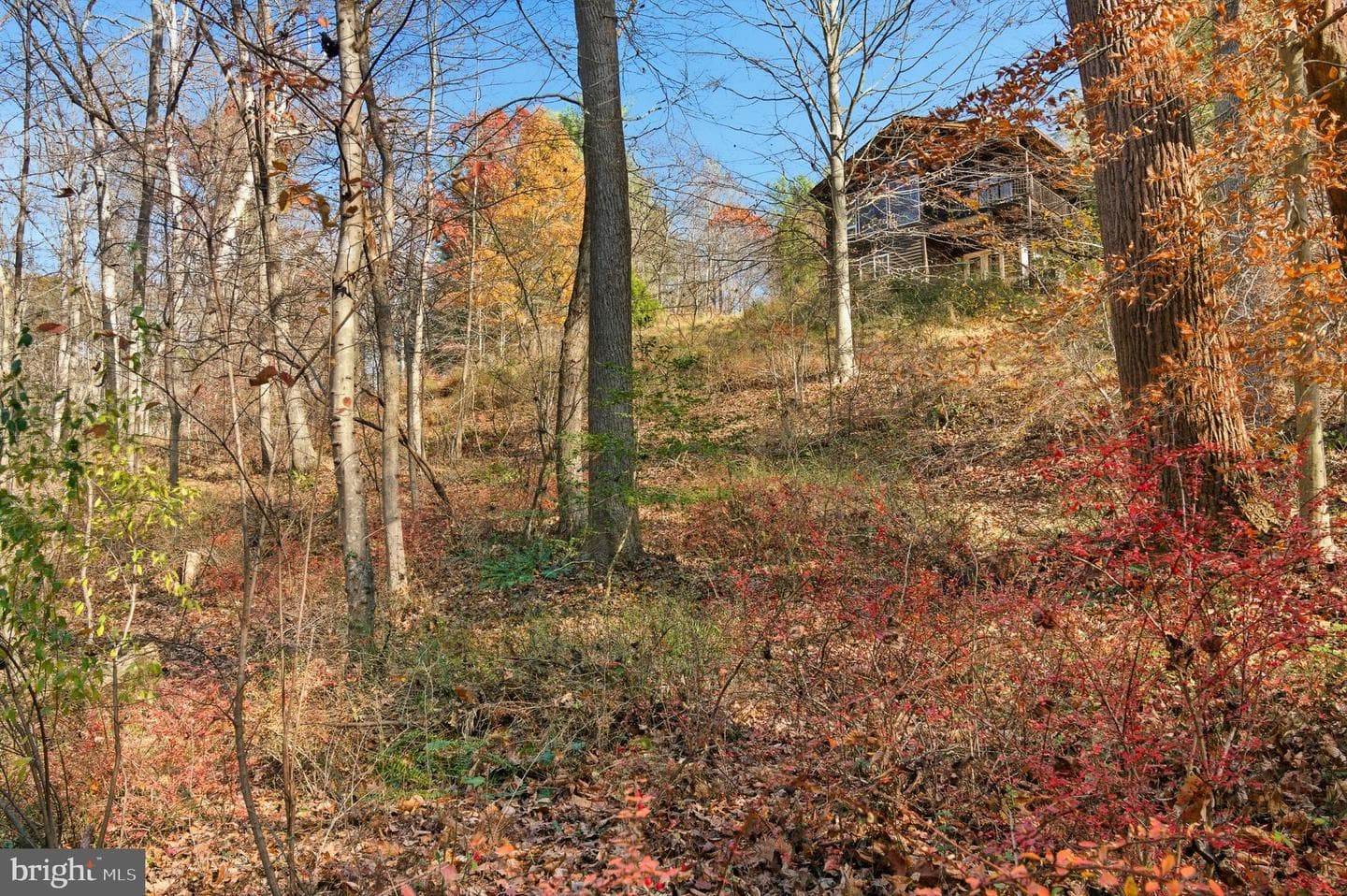 7170 Brooks Road photo 55