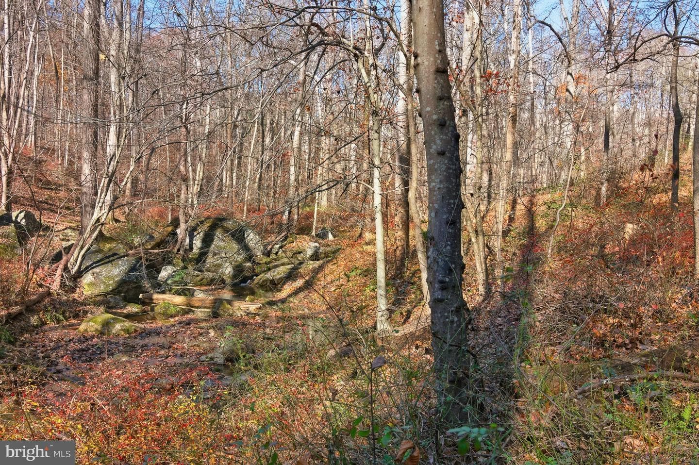 7170 Brooks Road photo 56