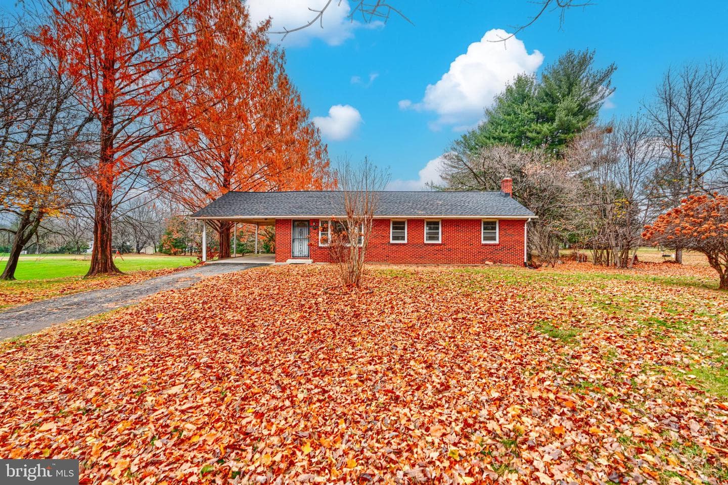 14414 Dorsey Mill Road photo 2