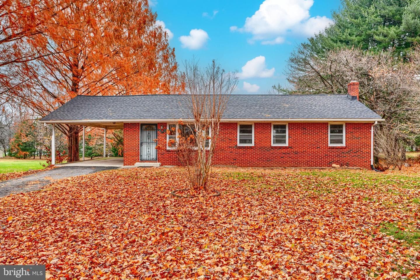 14414 Dorsey Mill Road photo 3