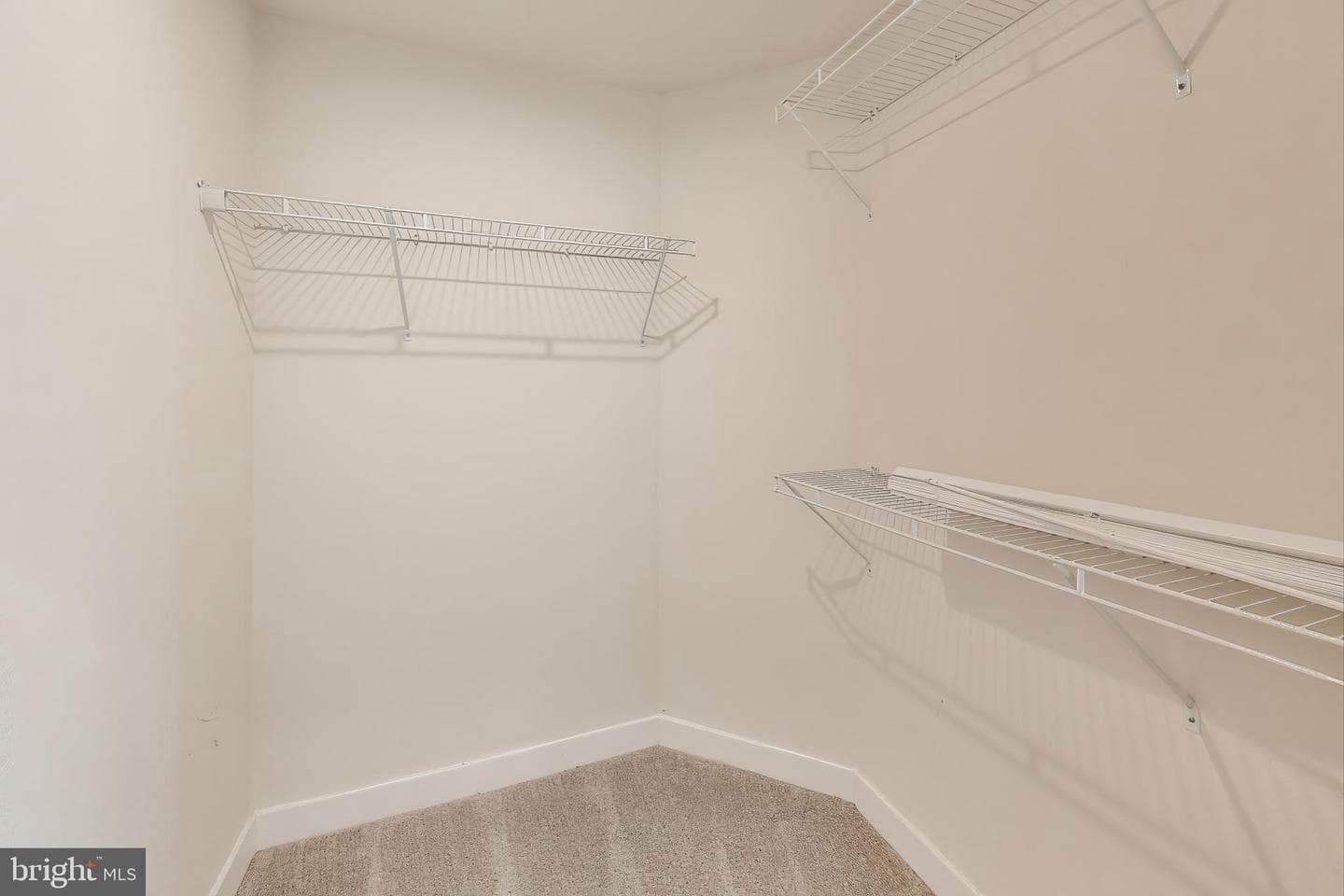 10020 Ruffian Way #E photo 18