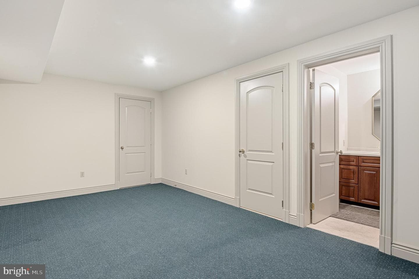 13321 Springwood Court photo 122