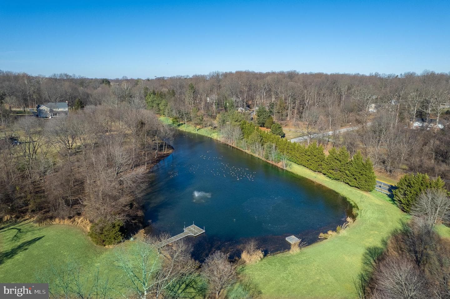 13321 Springwood Court photo 136