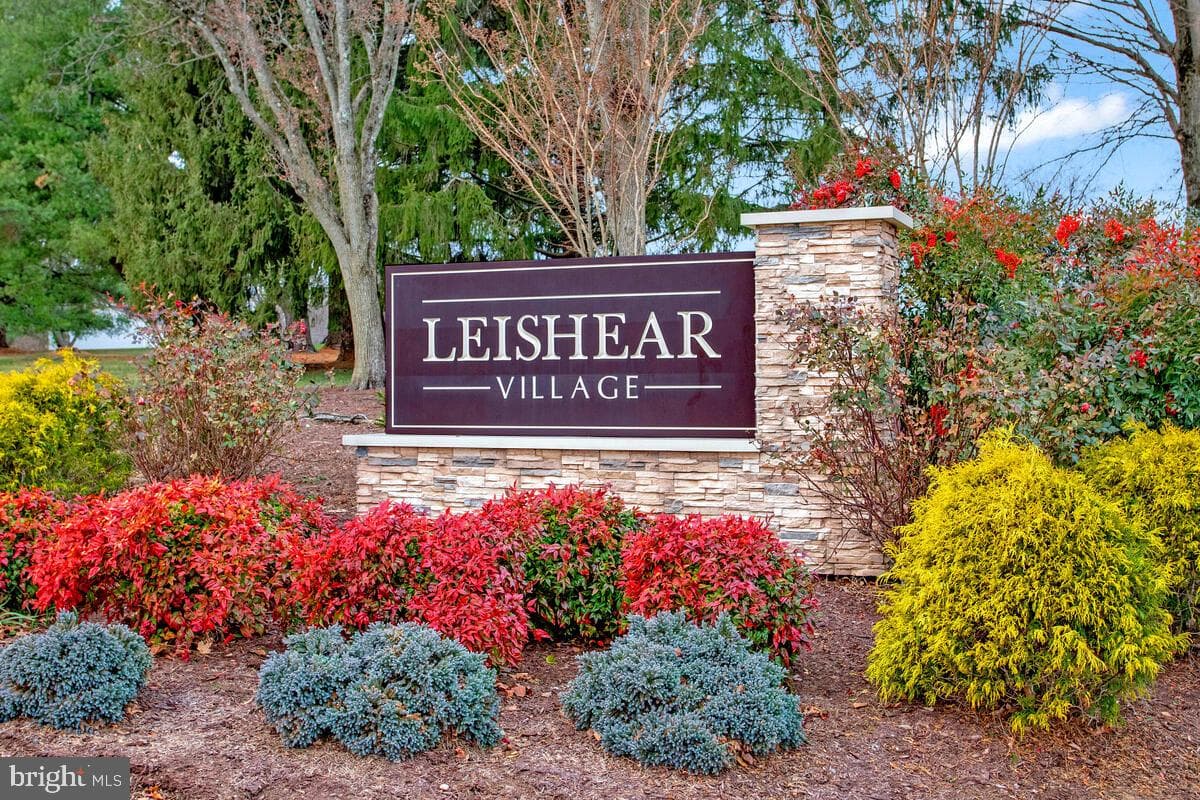 8356 Mary Lee Lane photo 43