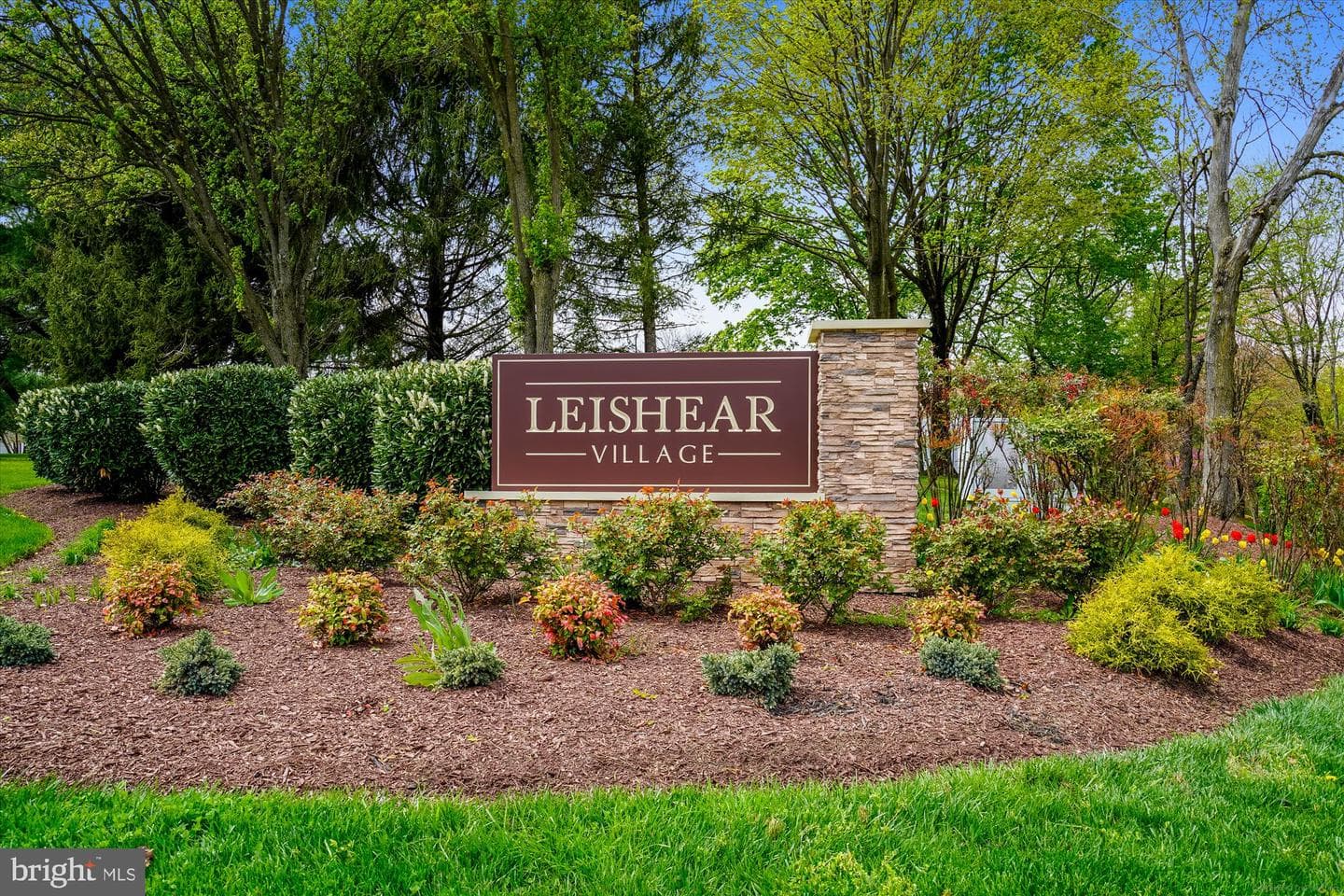 8251 Mary Lee Lane photo 22