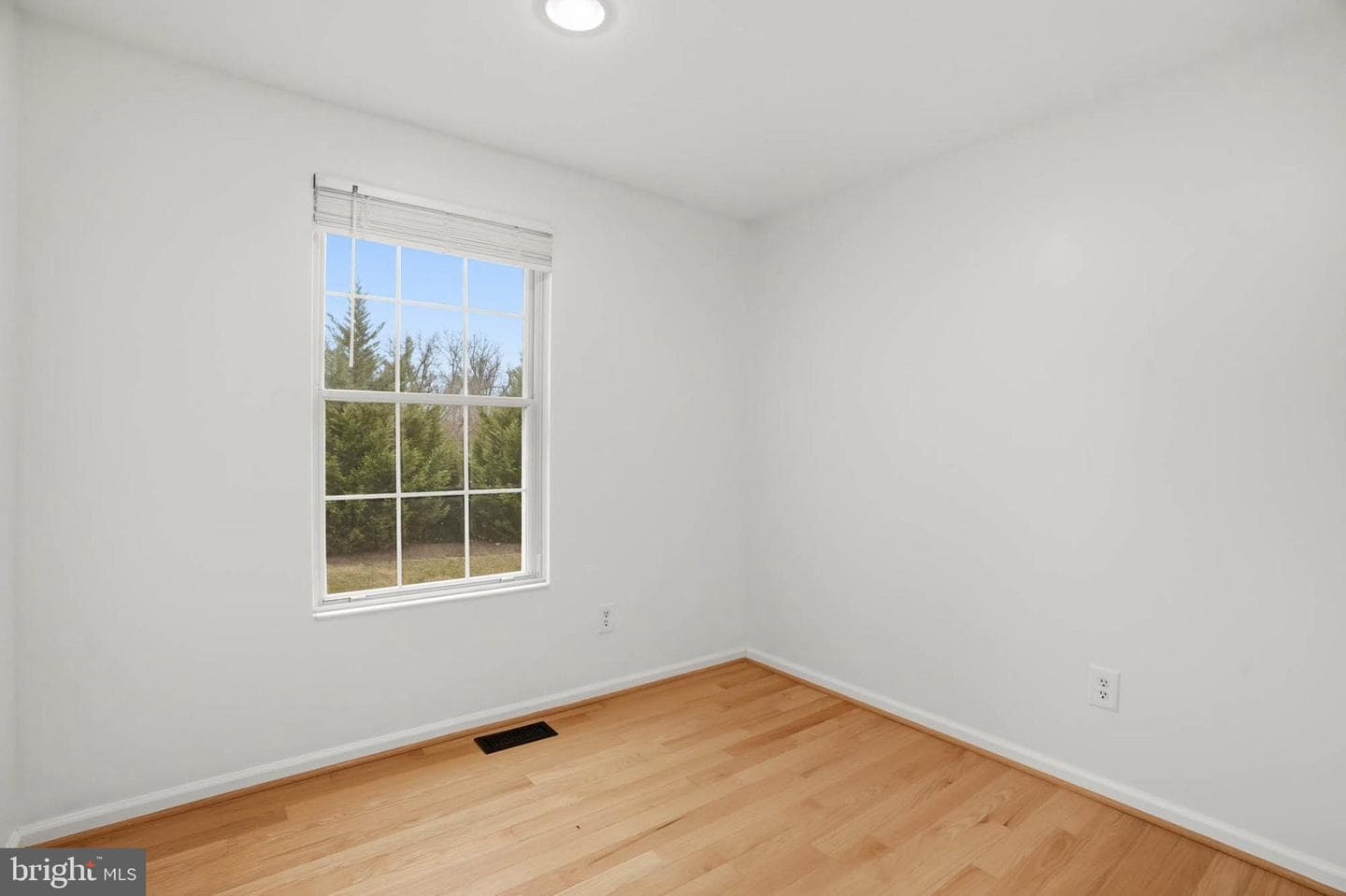 6255 Blue Dart Place photo 14