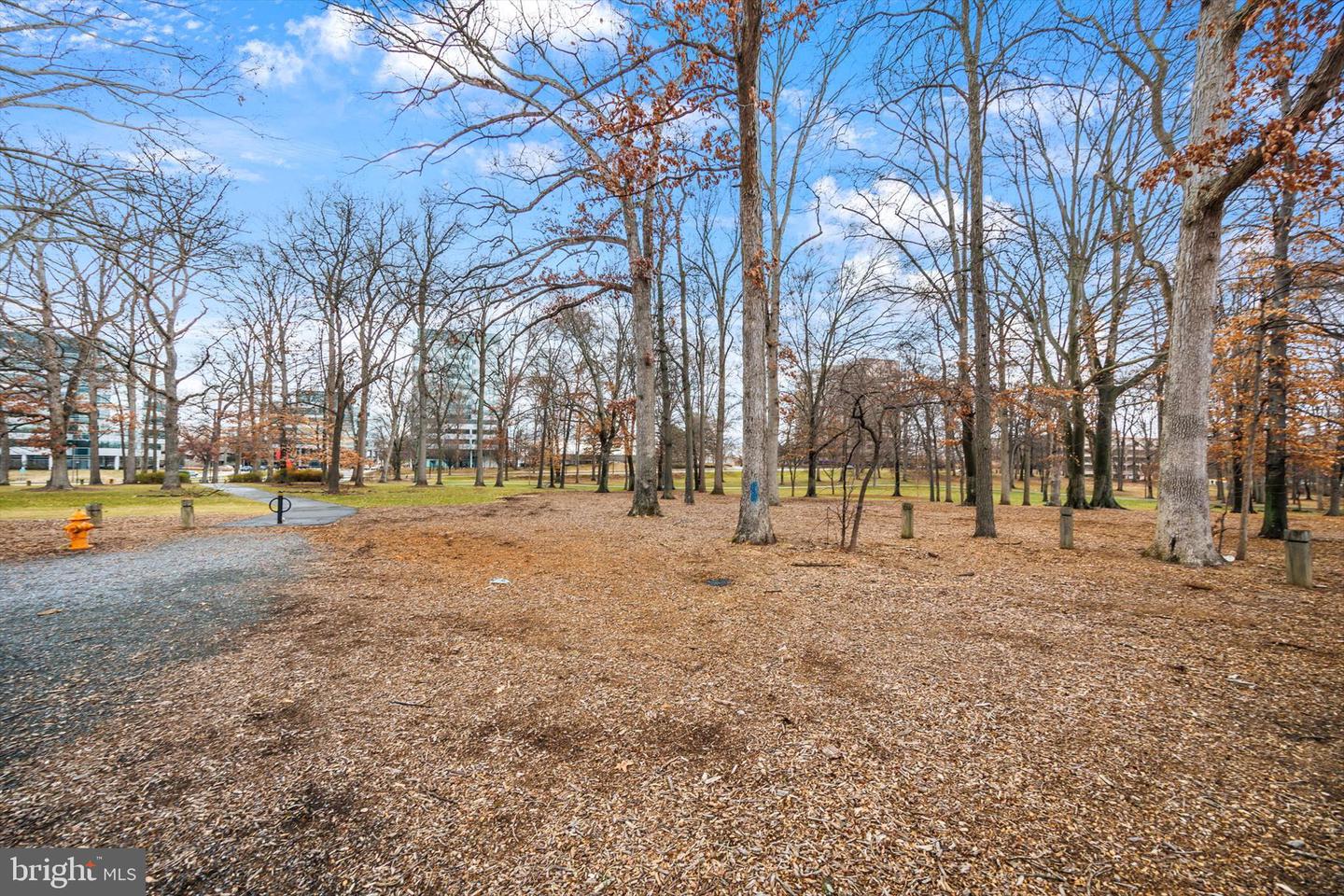 5839 Wyndham Circle #305 photo 39