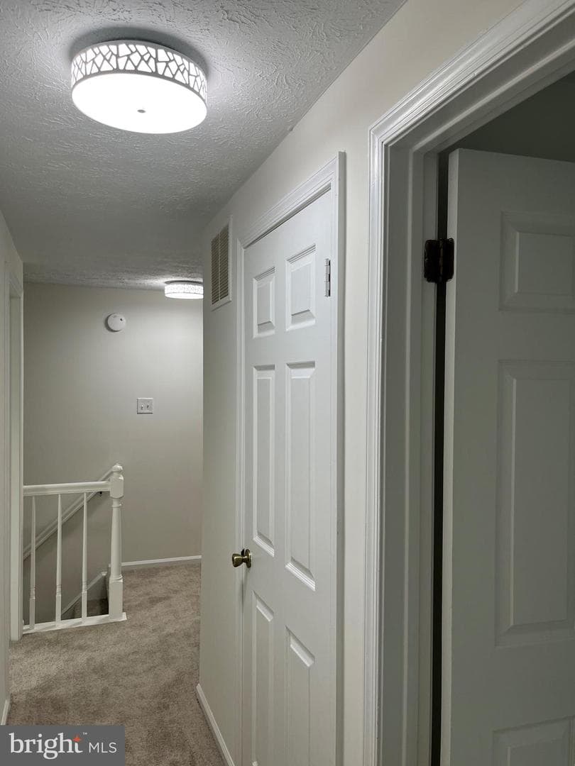 6409 Sewells Orchard Drive photo 20