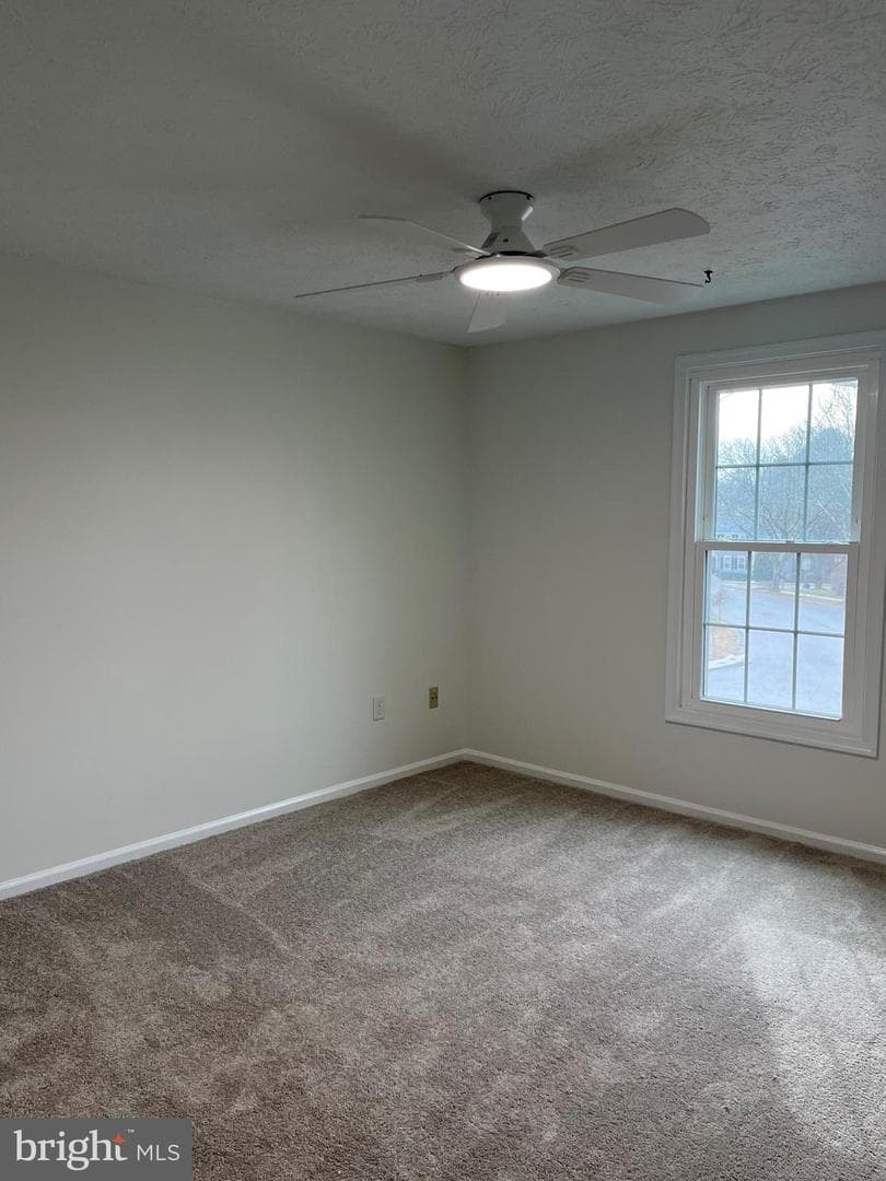 6409 Sewells Orchard Drive photo 23