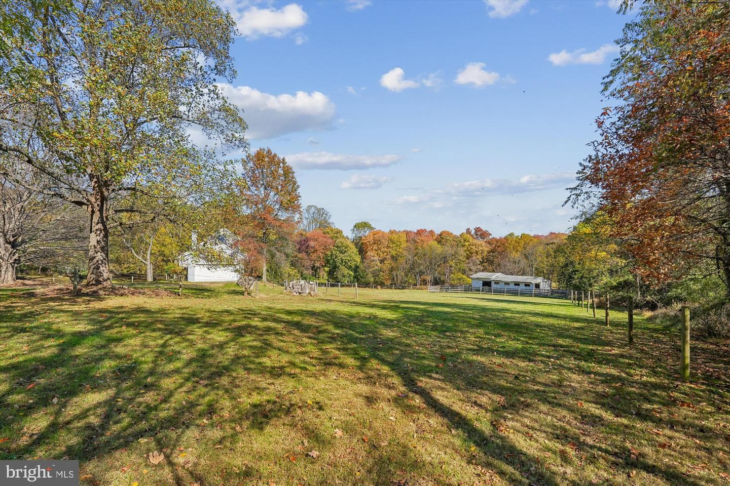 12652 Route 216 photo 13