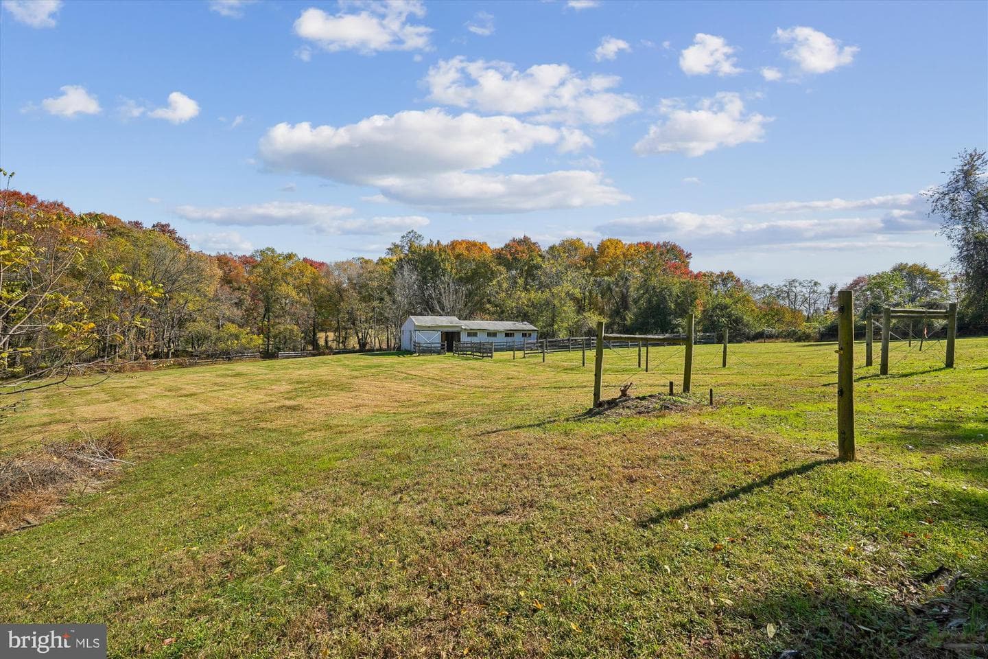 12652 Route 216 photo 17