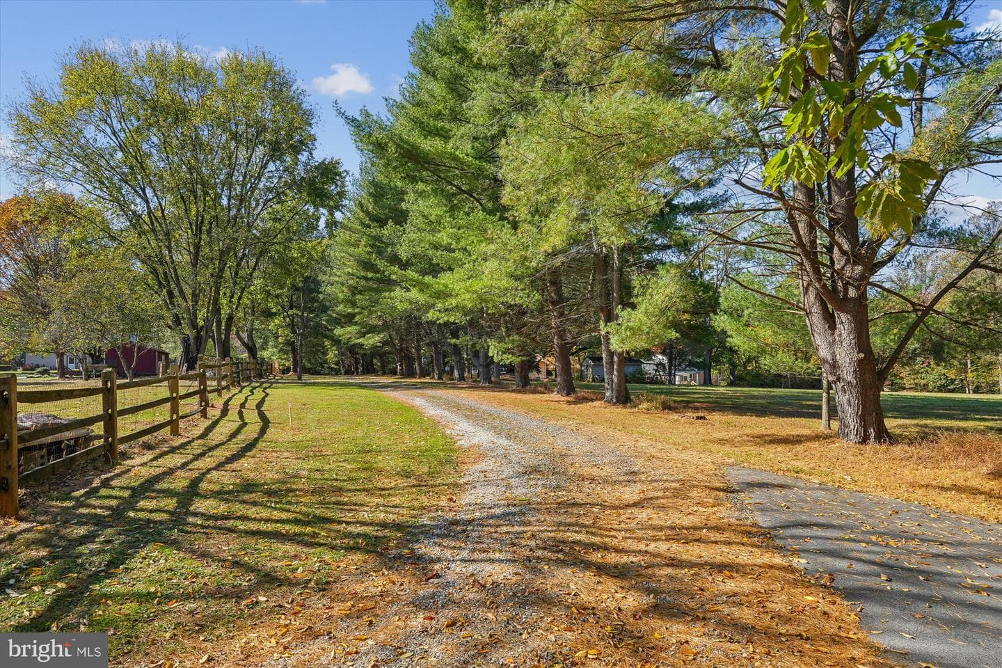 12652 Route 216 photo 29