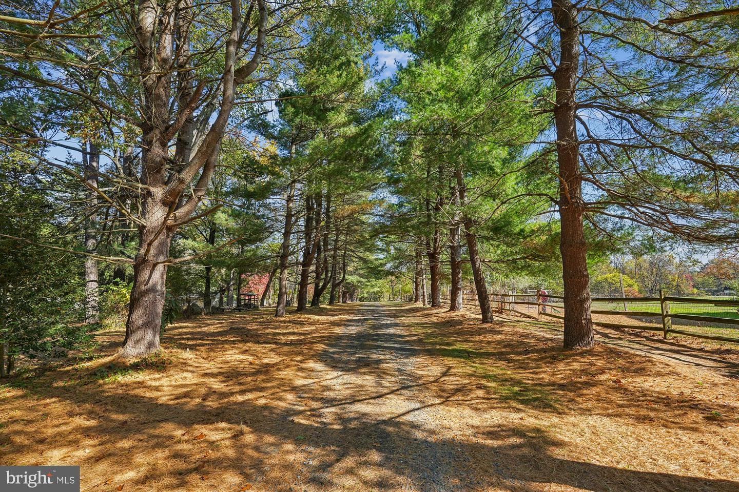 12652 Route 216 photo 3