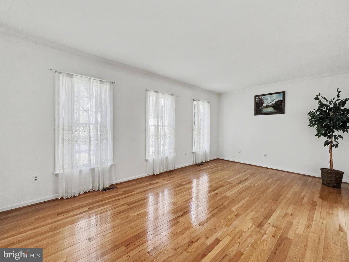 3823 Grosvenor Drive photo 7