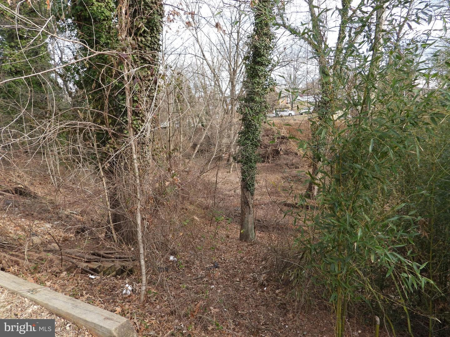9539 Linville Avenue photo 5