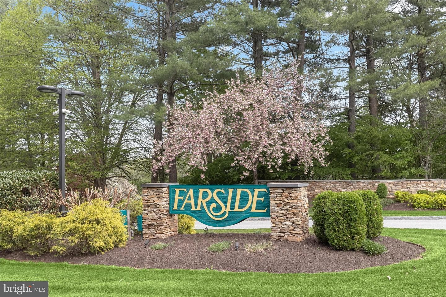 11802 Farside Road photo 6
