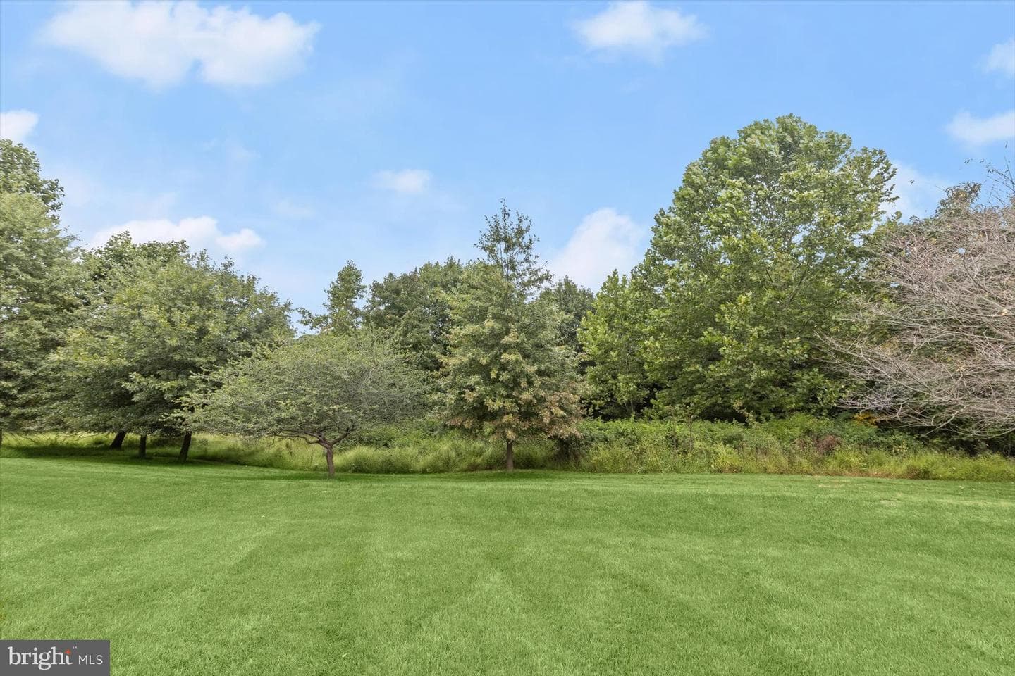 14242 Meadow Lake Drive photo 108