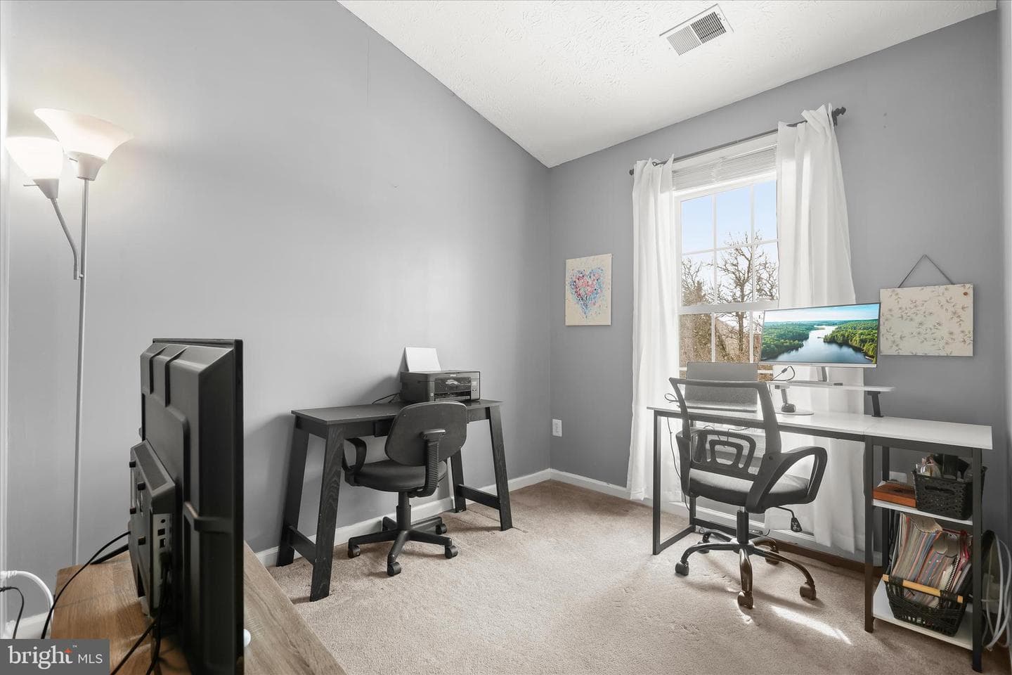 7996 Brightlight Place photo 22