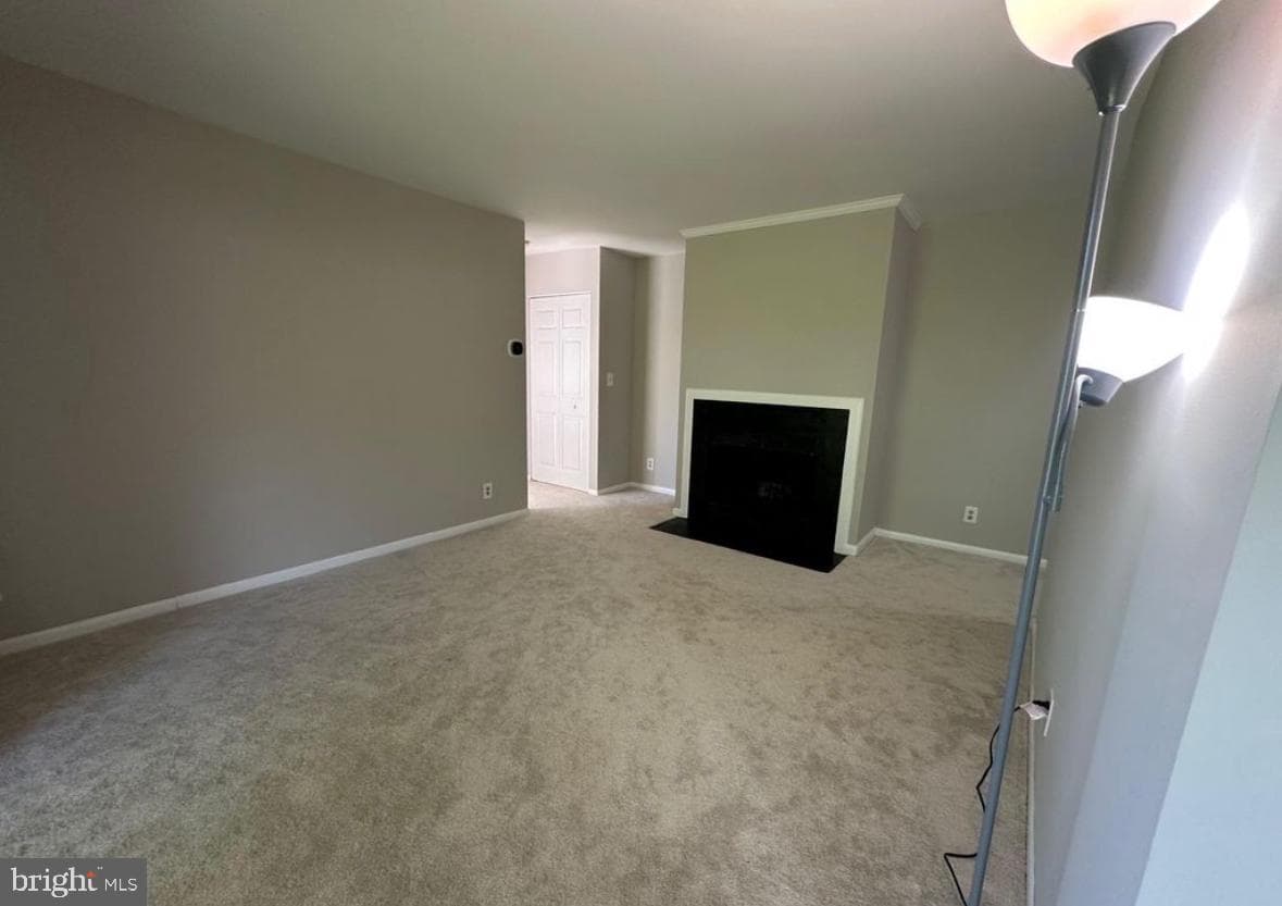 6091 Majors Lane #11 photo 9