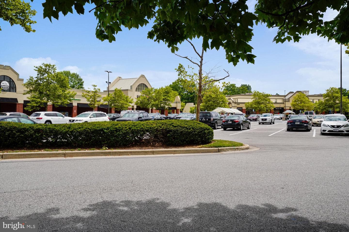 5209 Windmill Lane photo 101