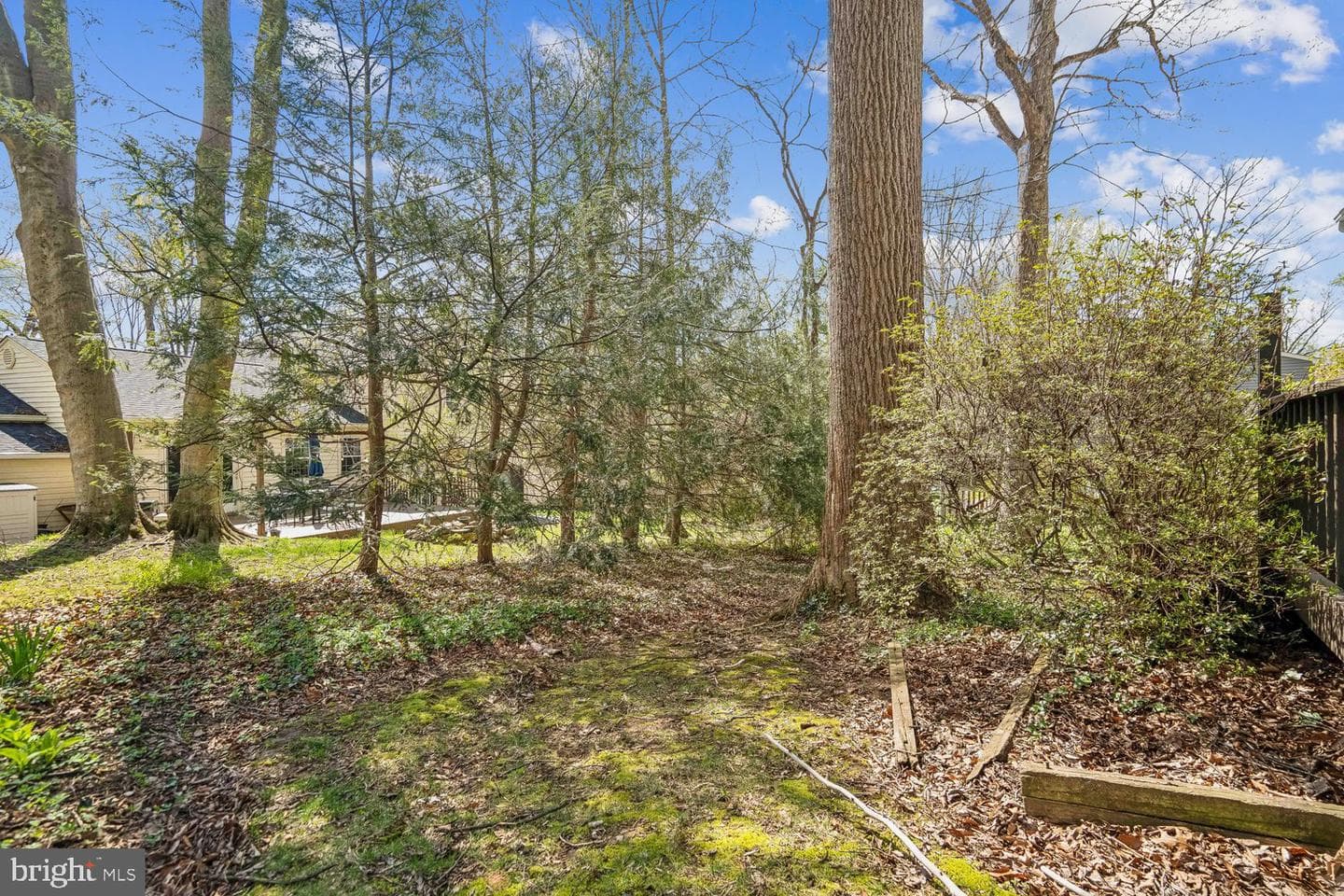 5209 Windmill Lane photo 29