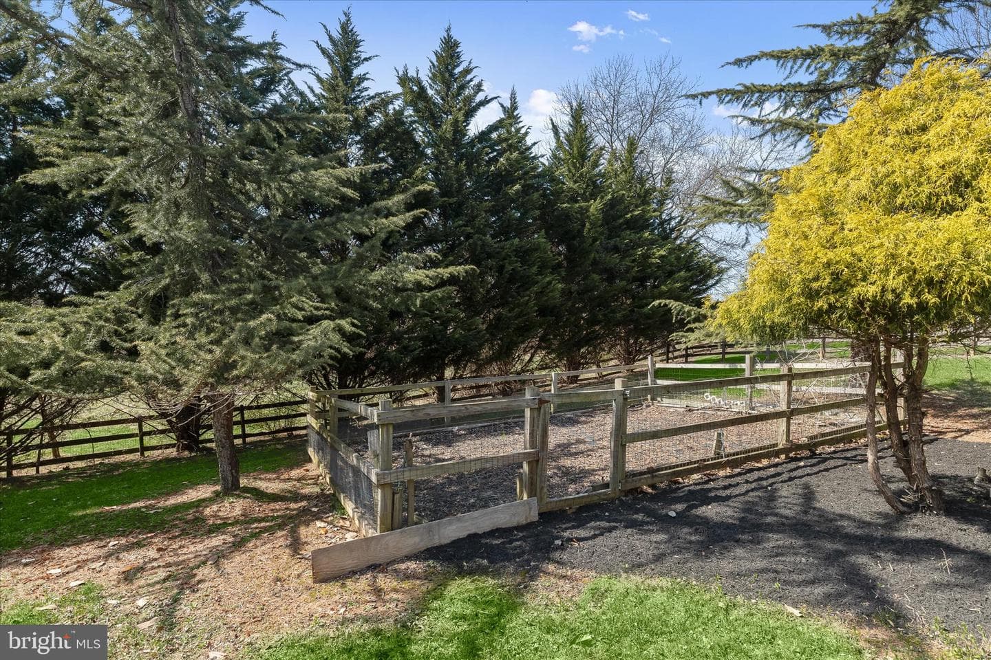 3210 Daisy Road photo 80