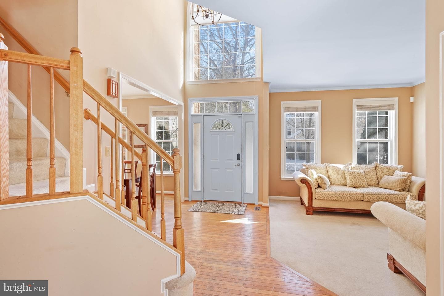9226 Curtis Drive photo 5