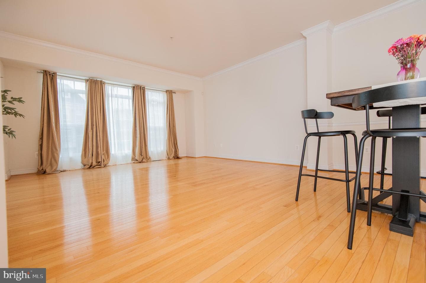 9843 Snow Bird Lane photo 42