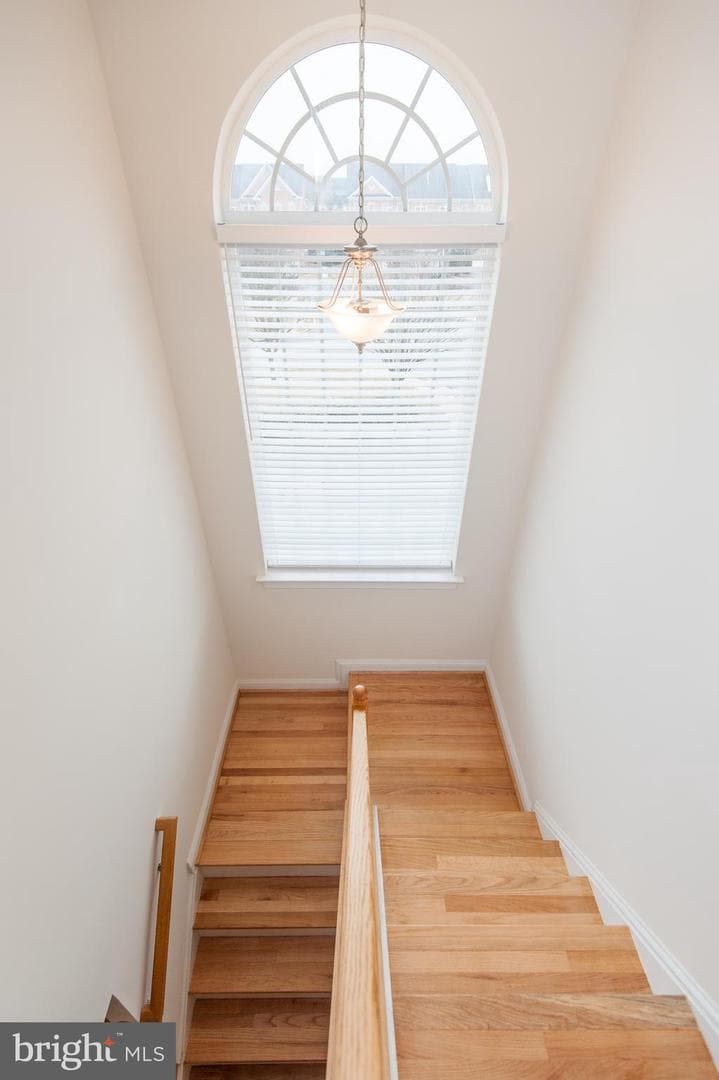 9843 Snow Bird Lane photo 43