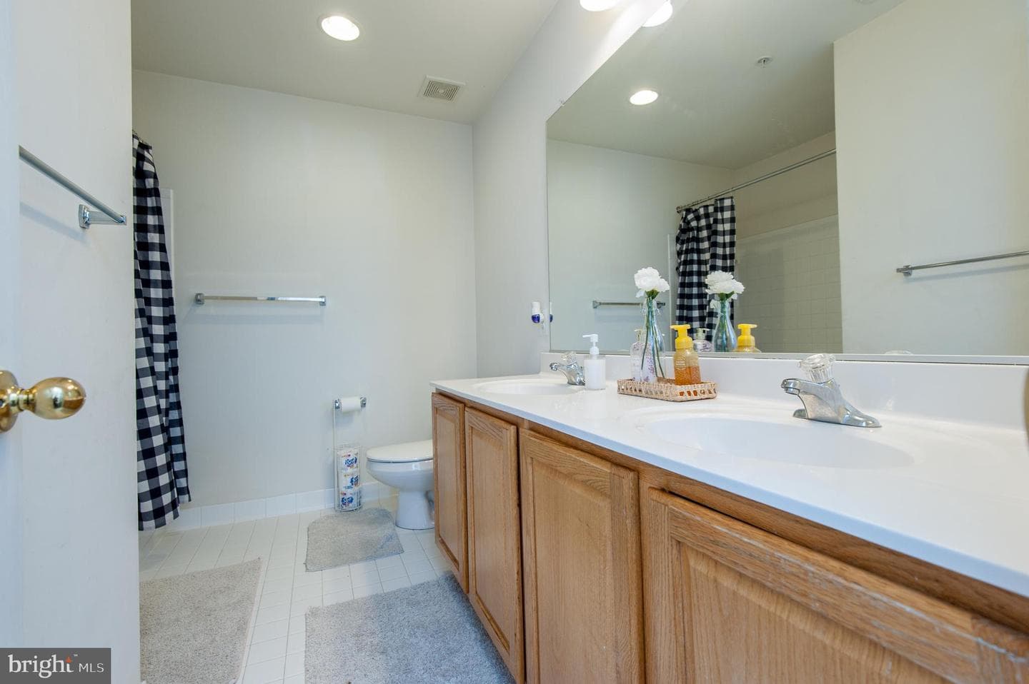 9843 Snow Bird Lane photo 49