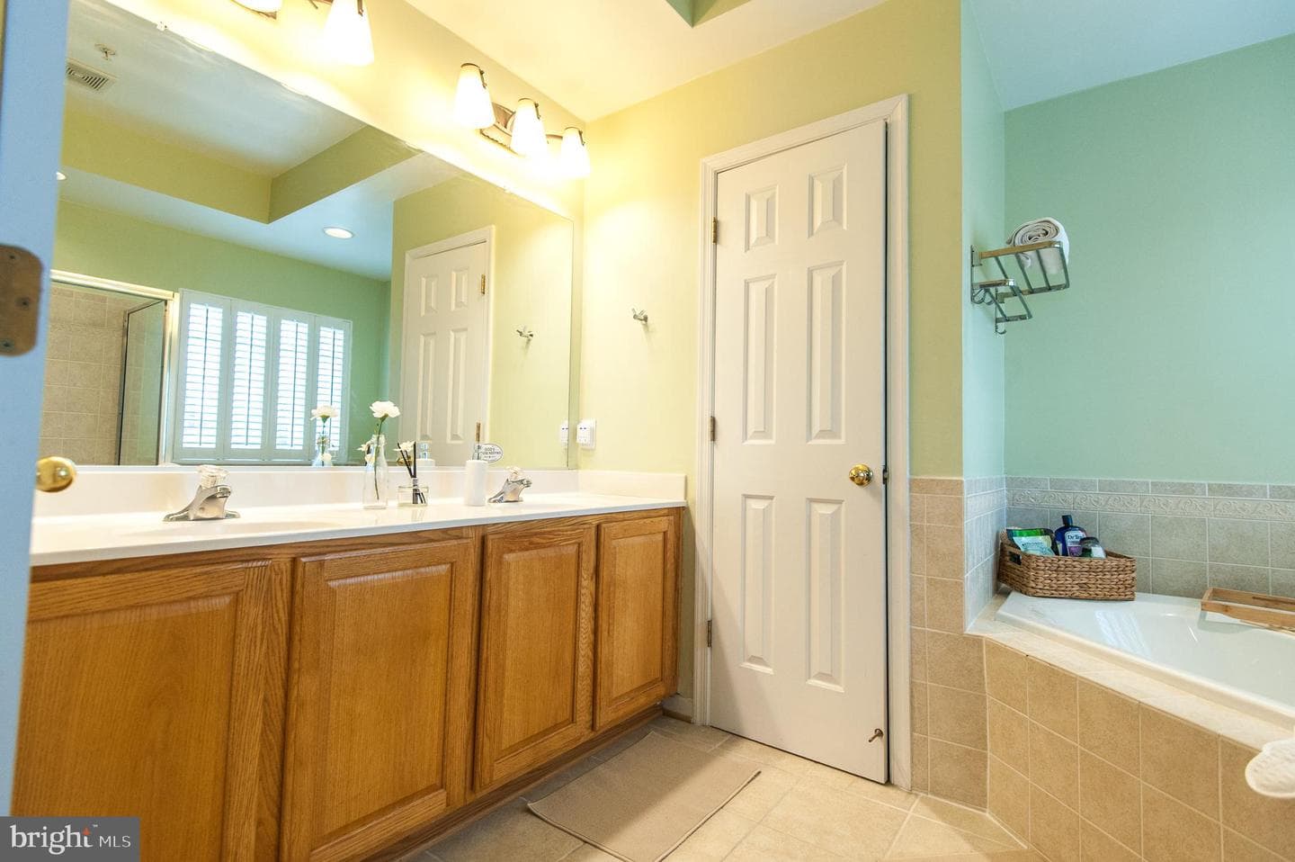 9843 Snow Bird Lane photo 61