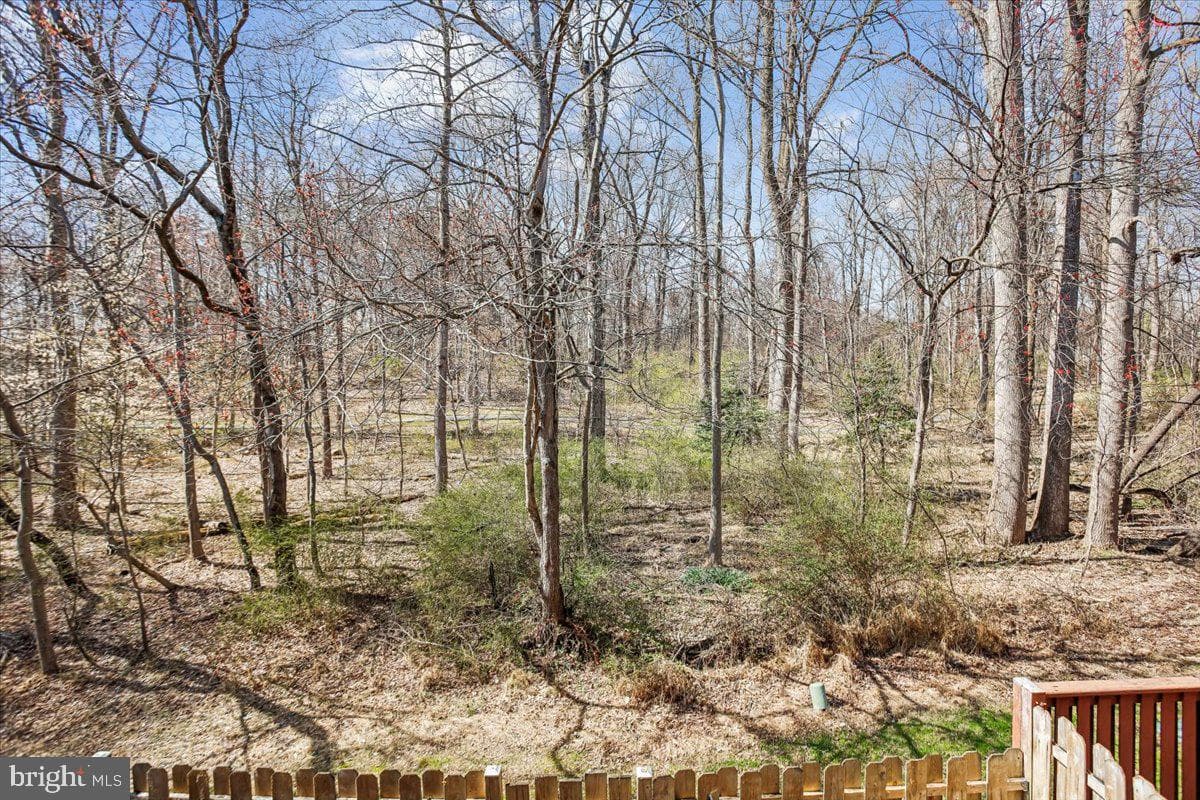 8953 Skyrock Court photo 41