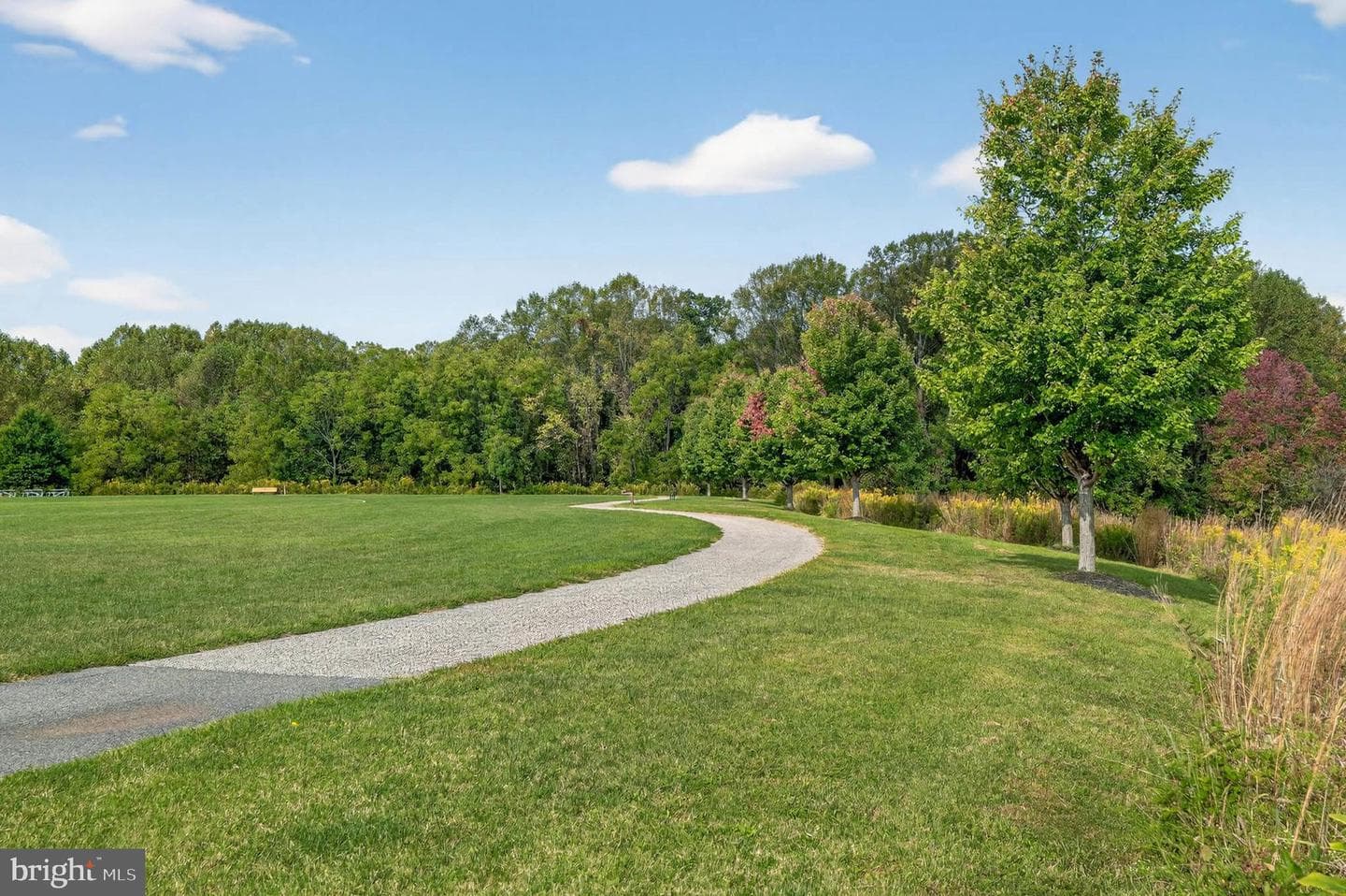13414 Good Times Court photo 48