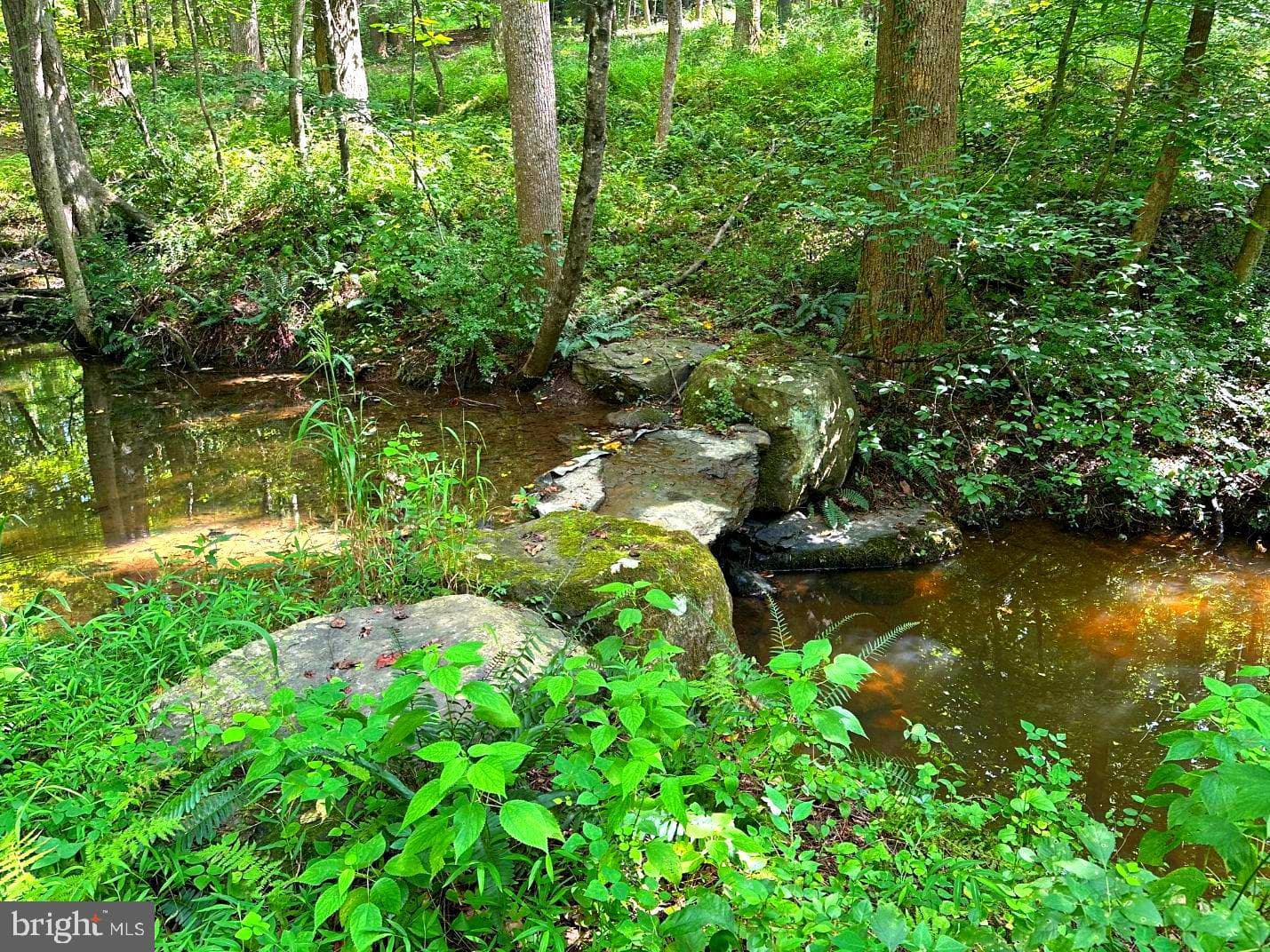 7244 Mink Hollow Road photo 106