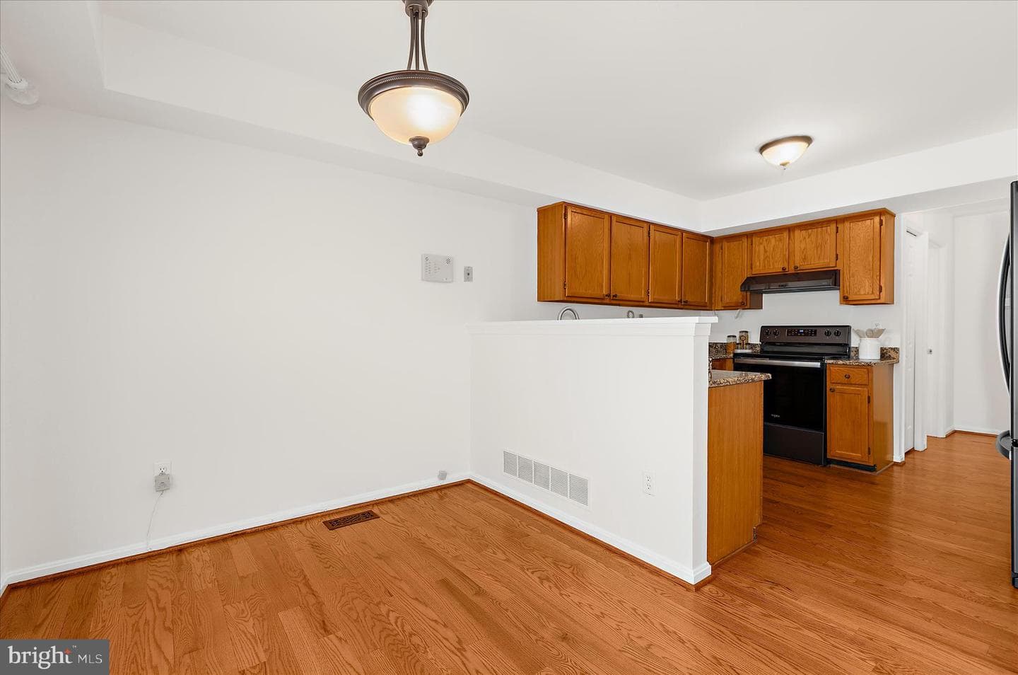 8666 Manahan Drive photo 11