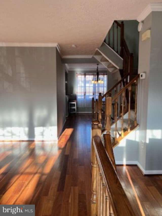 8015 Brightwood Court photo 5