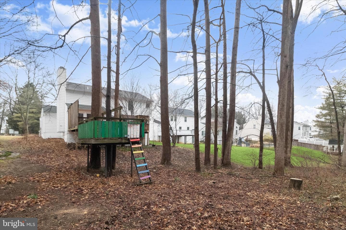 10895 Beech Creek Drive photo 70