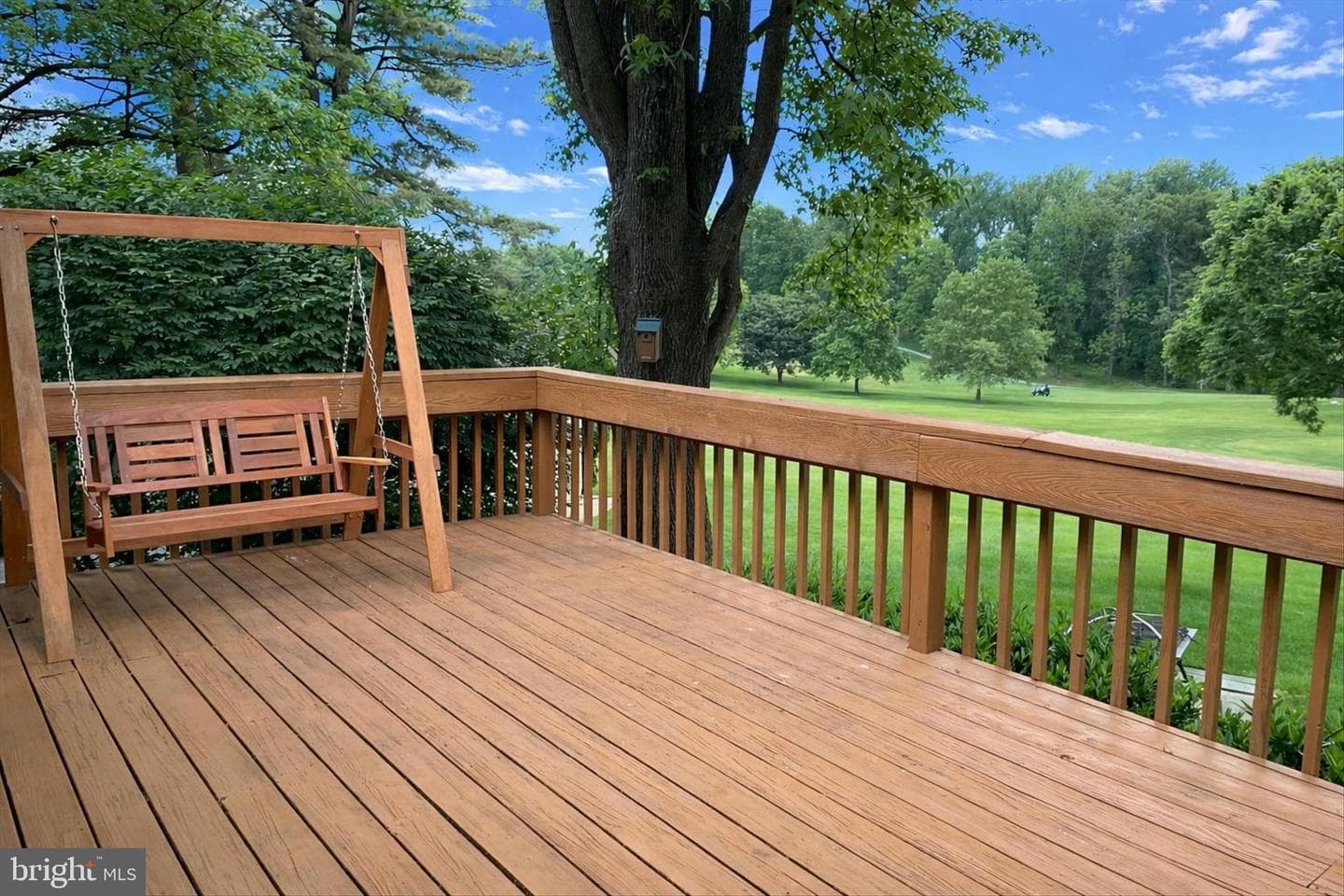 11110 Willow Bottom Drive photo 57