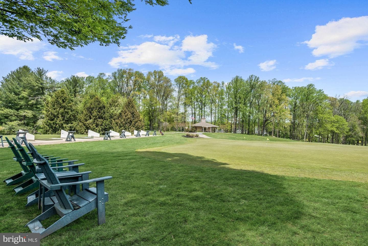 11110 Willow Bottom Drive photo 59