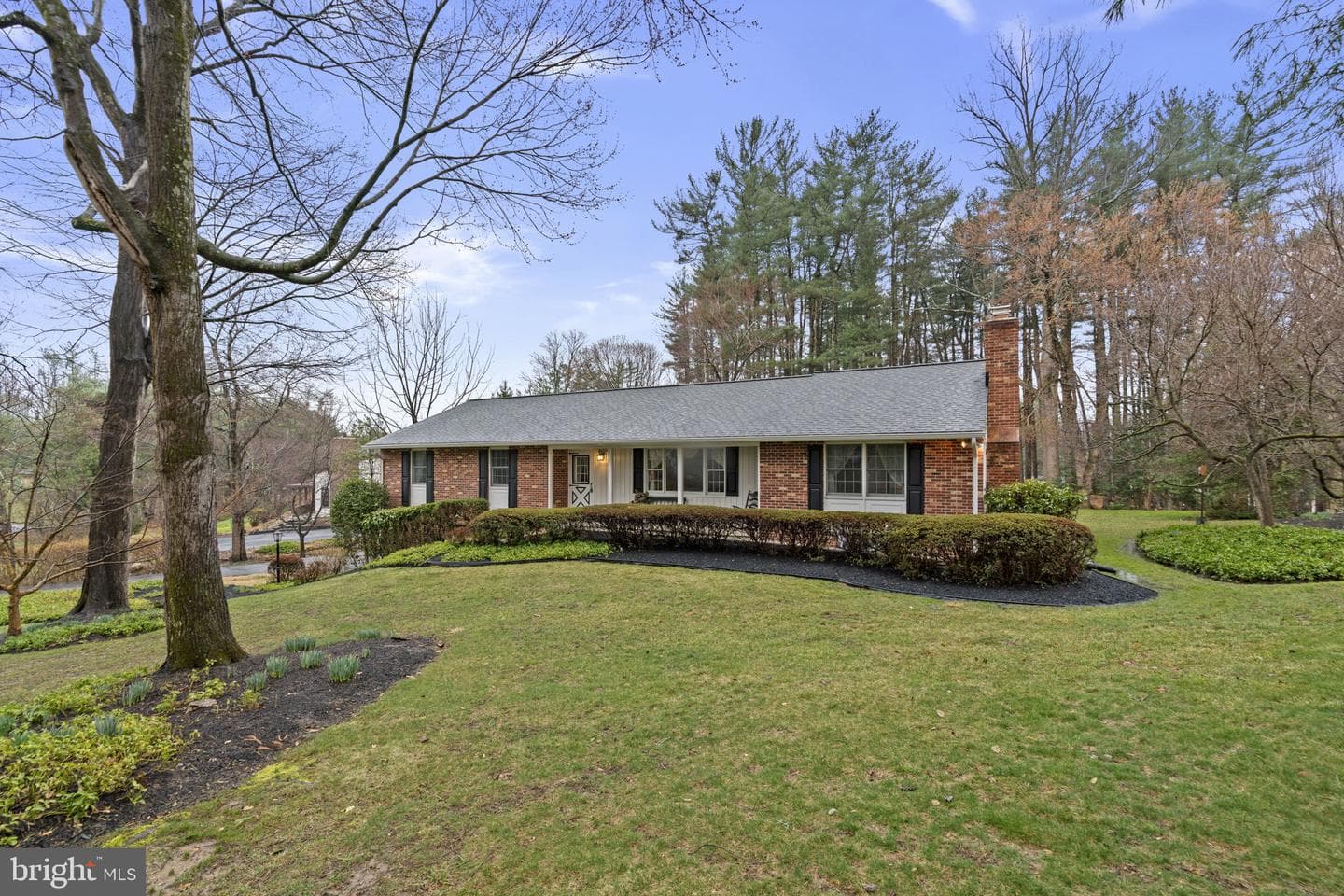 10115 Green Clover Drive photo 1
