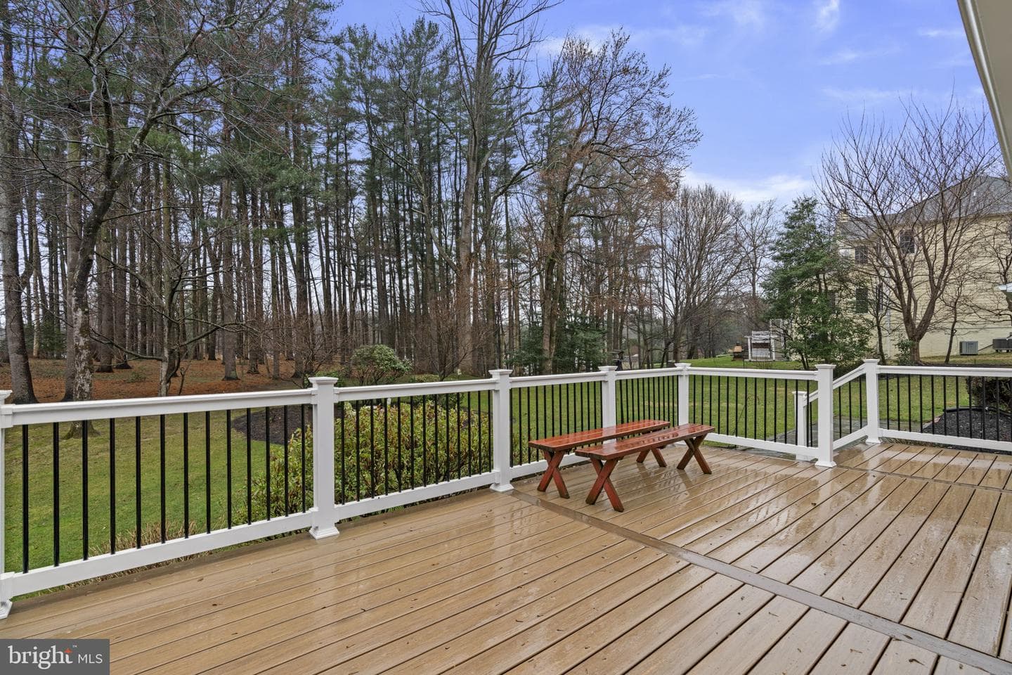 10115 Green Clover Drive photo 3