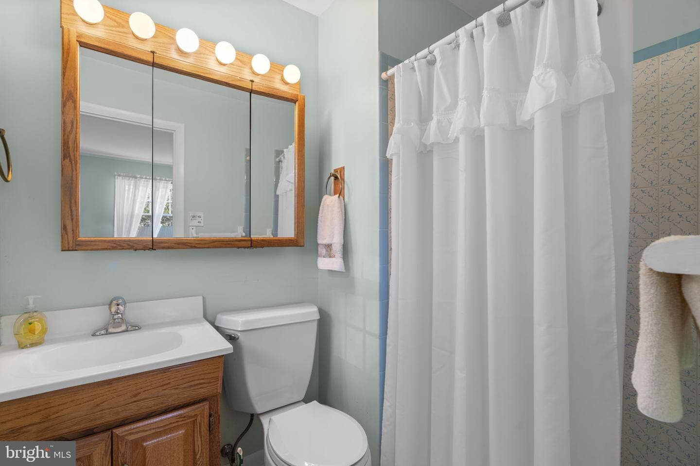 10115 Green Clover Drive photo 32