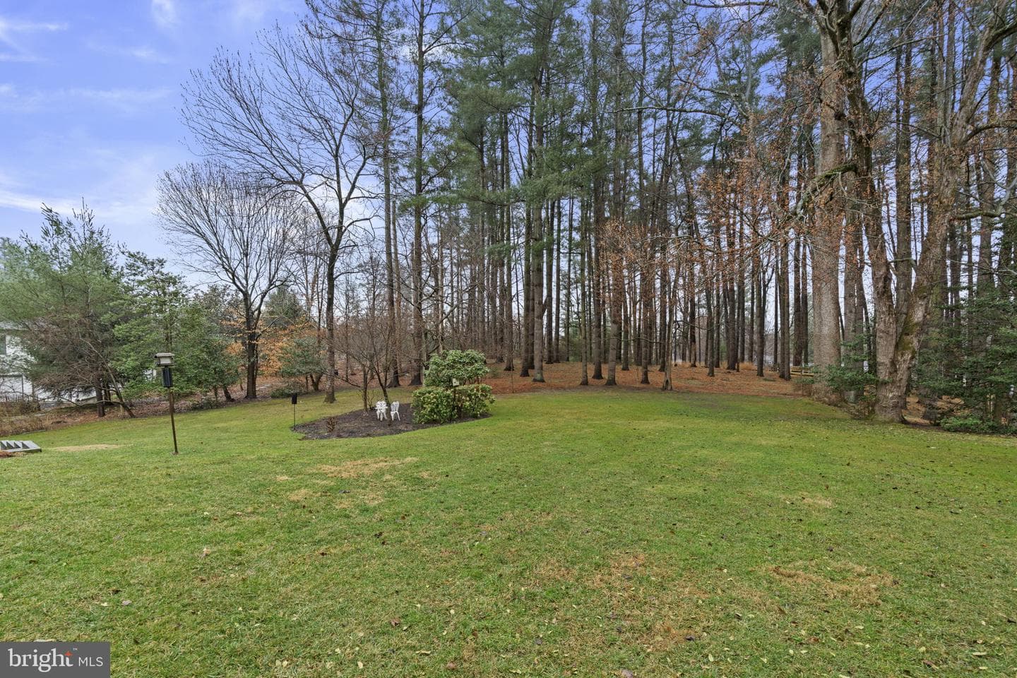 10115 Green Clover Drive photo 5