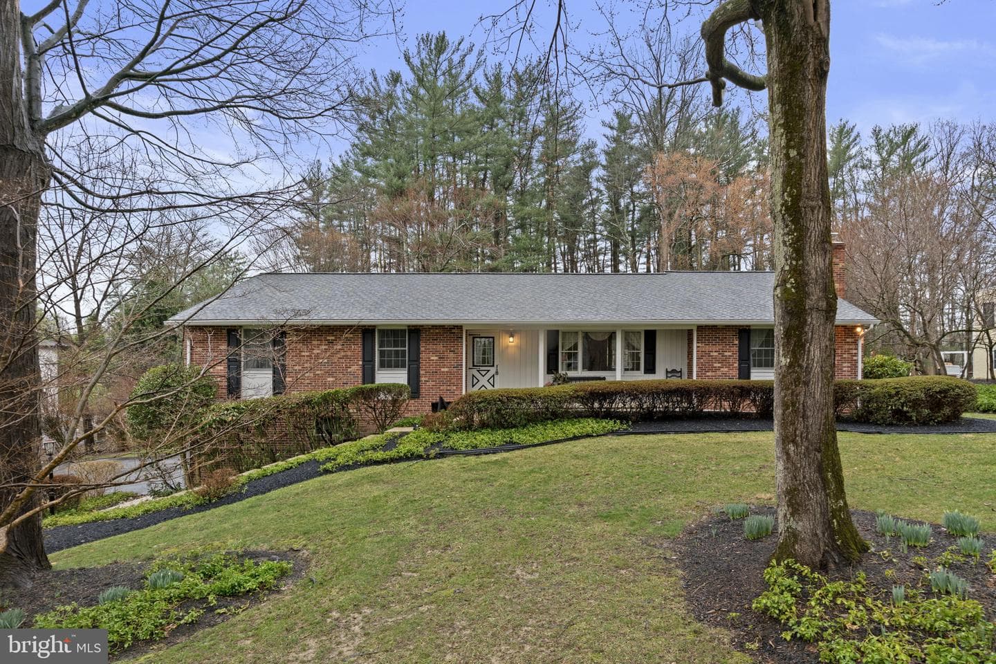 10115 Green Clover Drive photo 53