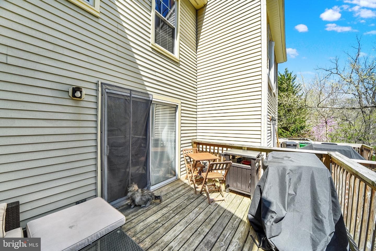 8847 Willowwood Way photo 10