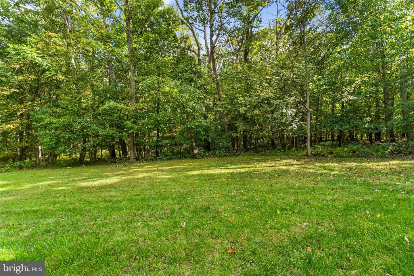 1625 Old Annapolis Road photo 56